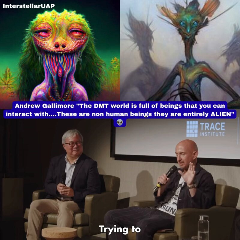 Andrew Gallimore "The DMT world is full of beings that you can interact with....These are non human beings they are entirely ALIEN" 👽 “Infinitely more complex and dynamical and strange geometries and topologies… filled with beings with whom you could interact and communicate. Beings that were not human, they were not animal… entirely other, entirely alien.” Neurobiologist Andrew Gallimore recounts how reading Terence McKenna as a teenager introduced him to DMT and set the course of his entire scientific career. McKenna described an alternate reality of crystalline clarity, populated by autonomous intelligences that feel more real than ordinary waking life. These entities are not archetypes or hallucinations in the usual sense. They appear agentic, communicative, and fundamentally non human. Gallimore later experienced the state himself and has spent decades studying how a simple plant molecule can switch the brain into constructing these hyper-coherent alien worlds. The consistency of reports across independent users remains one of the deepest unsolved questions in consciousness research.
