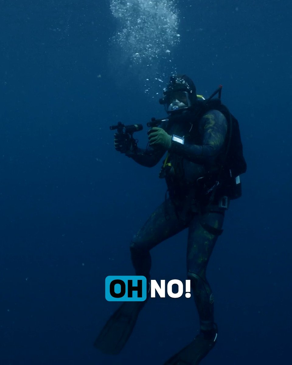 Could the world's biggest mako shark be swimming off the coast of Mexico? 🦈 A reported 15-foot giant sends experts on an unforgettable search 🔍 Watch Biggest Mako on Earth Tonight at 10P during #SharkWeek on Discovery.