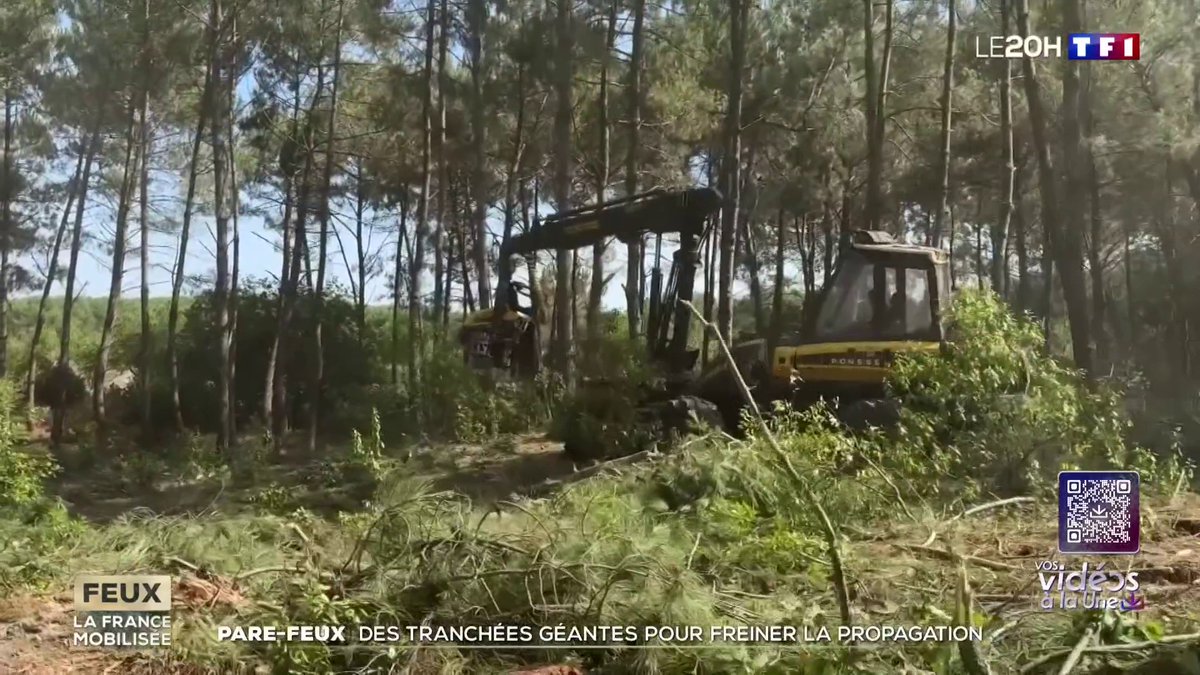 Sur la presqu'île du Cap-Ferret, des pare-feux ont été créés en urgence, des tranchées géantes pour freiner la propagation du feu. 📺 #LE20h de TF1 présenté par Jean-Baptiste Boursier