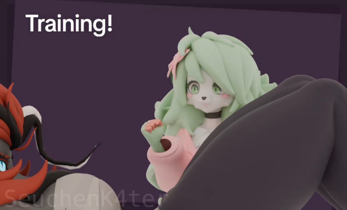 Training time with my Shaymin Daisy and my Zoroark Rozé ❤️💚 A lovely Pokemon couple😭❤️