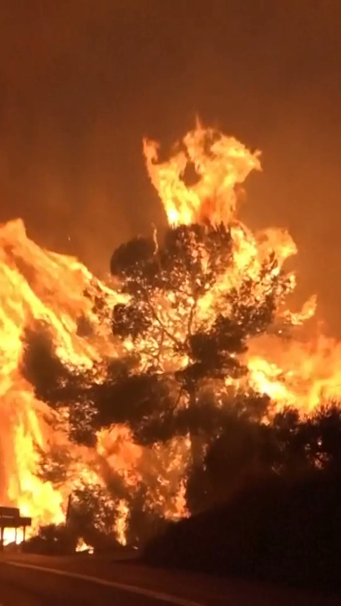 In Spain, 79,000 people have been evacuated from their homes in villages west of Madrid and in Castellón, a province on the eastern coast, while 30,000 others have been confined to their homes, the government said.