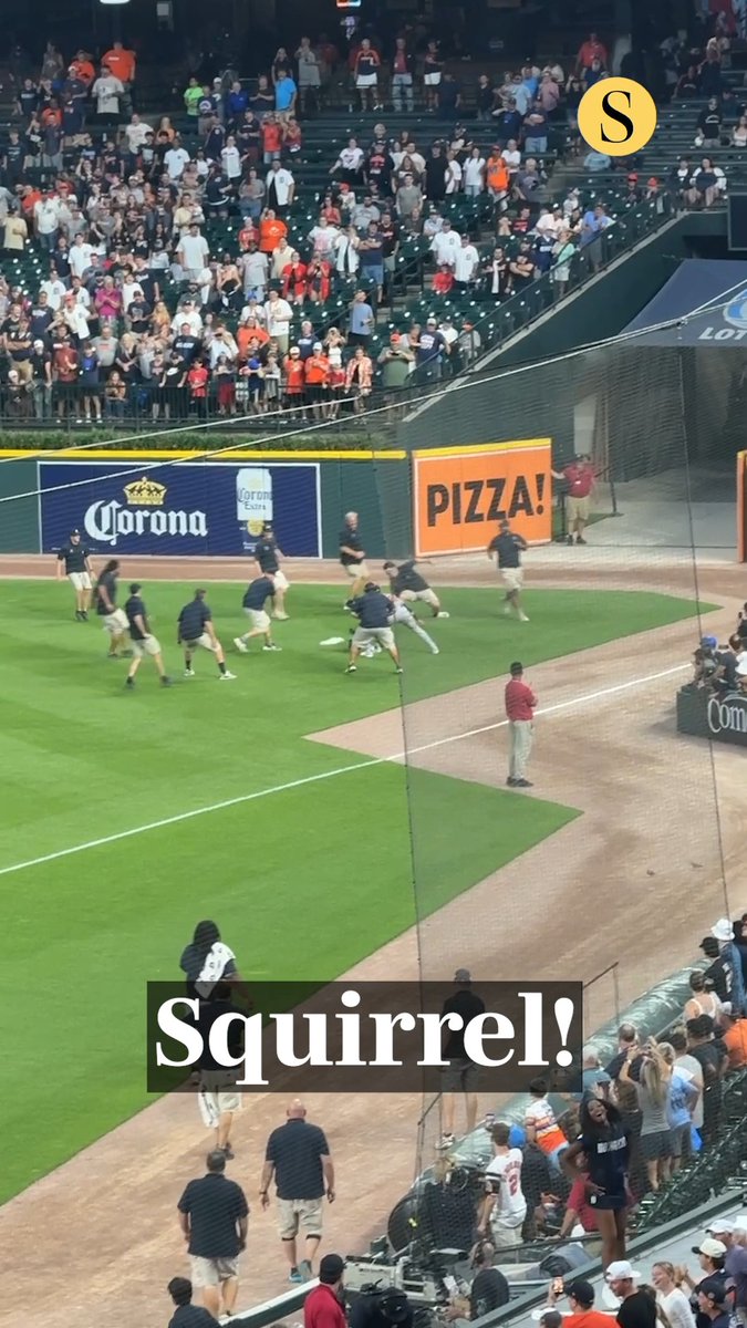 Orioles outfielder Leody Taveras and the Tigers' grounds crew wrangled a squirrel that was running on the field during Monday's game. 🎥: Matt Weyrich, The Baltimore Sun