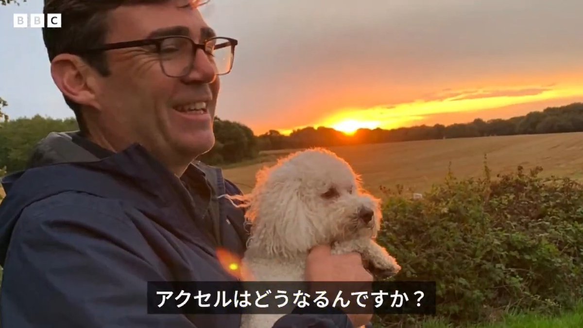 BBCニュース - バーナム英首相の飼い犬、首相官邸の猫ラリーとは「気が合わないだろう」 マンチェスターに残ることに