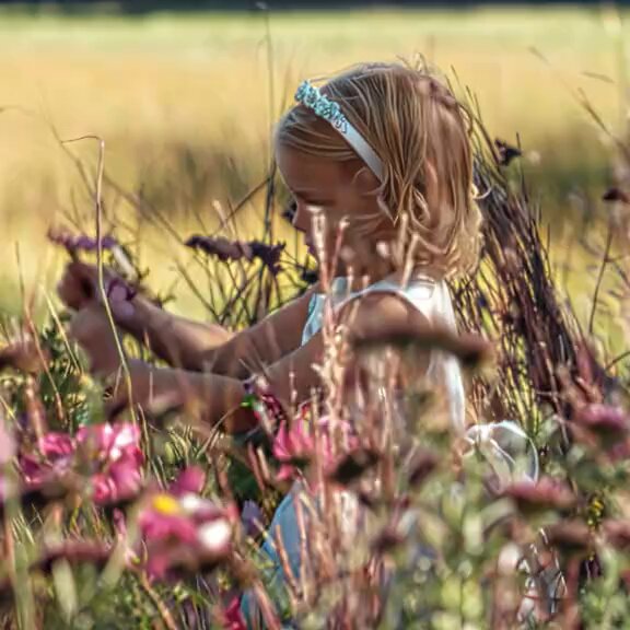 Esta mujer es insoportable… hasta que entiendes por qué. Olive Kitteridge no es la típica protagonista que te enamora a primera vista. Es cortante, difícil y a veces cruel. Pero cada escena te va quitando el aliento. Una historia sobre el amor que duele, el tiempo que no perdona y las personas que nunca aprendimos a ver de verdad.