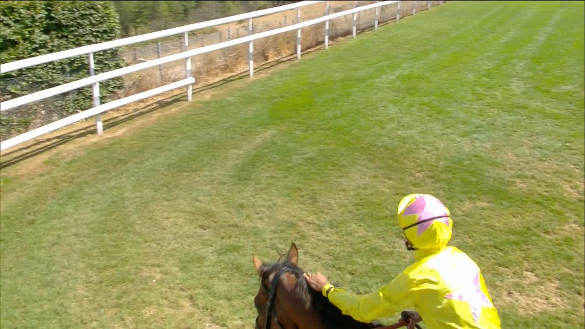 The unbeaten record remains in tact! Dr Rascal wins the Coral Vintage Stakes to provide a big success for Kaiya Fraser! 🥇 olivercoleracing | Charlie Rosier