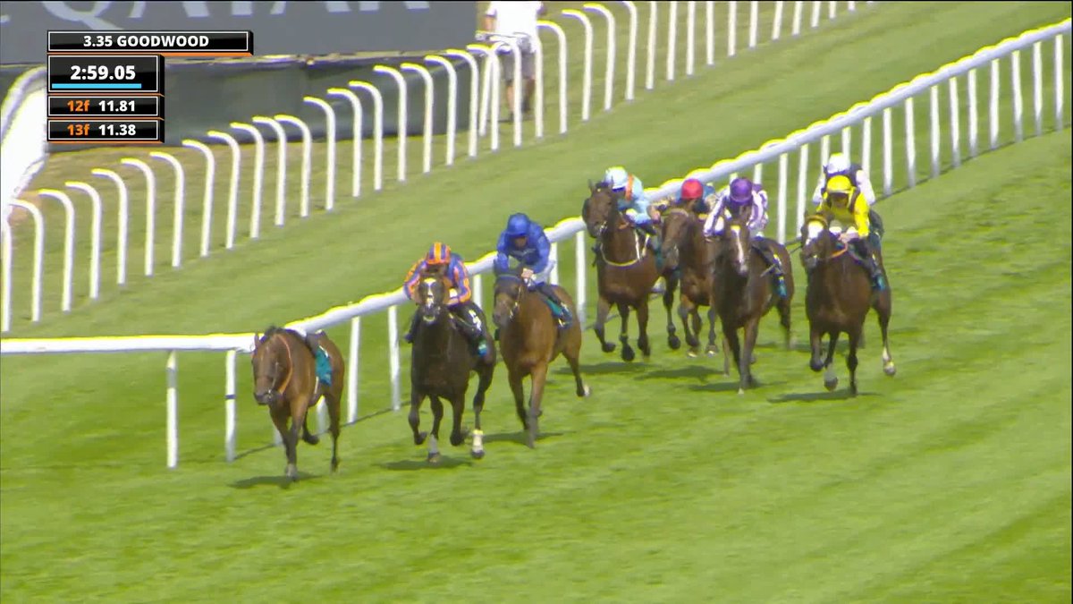 The Ascot and Goodwood double! 👏👏 Scandinavia wins the Al Shaqab Goodwood Cup Stakes 🏆