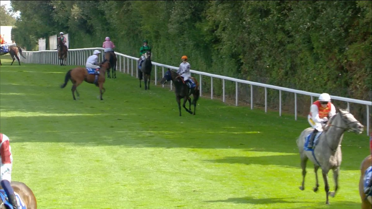 Saffie Osborne is on fire! 🔥🔥🔥 TWIGLIGHT CALLS comes with a withering late run to win the big sprint at Goodwood under a world-class Saffie Osborne ride! 💪🏆 ⚫️⚪️ Congratulations to the boys Richard spencer & Rebel Racing the sprint kings.