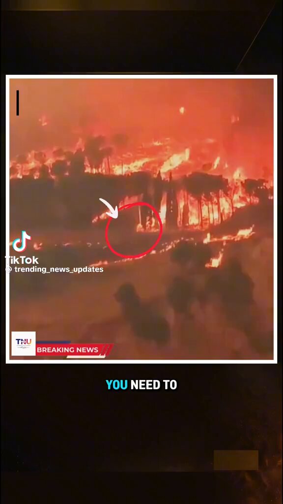 🔥 🚨 INSANE: This wildfire near Bordeaux, France isn’t just burning… it’s creating its own weather. Extreme heat is generating massive smoke clouds, suddenly shifting winds, and sparking new fires MILES away from the main blaze. 👨‍🚒Firefighters aren’t fighting flames anymore they’re racing against conditions that change every hour. Evacuations keep expanding. Homes are secondary. Lives come first. Europe is sending planes and crews. This is no longer a local emergency. Would this even be containable in California right now? #Wildfire #Bordeaux #ClimateCrisis