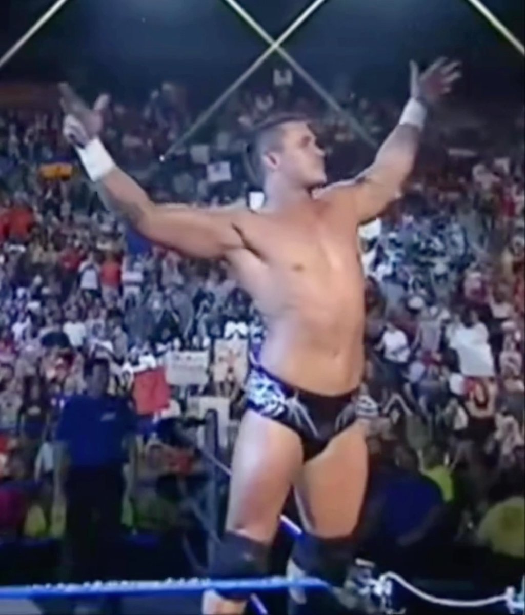 Sometime when life gets rough you just have to hit the Randy Orton pose and move on.