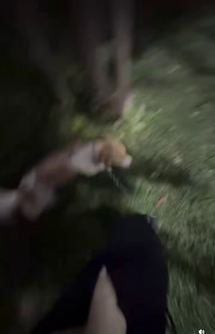 İnsanlar 2 dk nefes alıyor, köpeği diplerine götürüp dışkısını yaptırıp üstüne insanları tehdit ediyor.