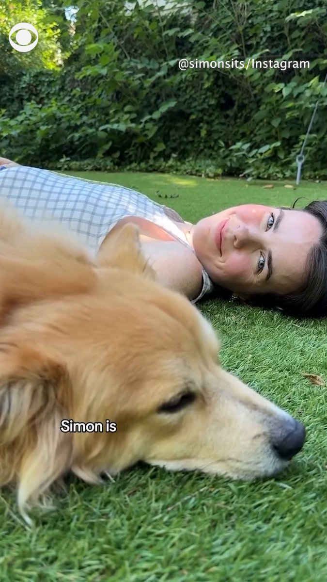 Over the weekend, millions of people around the world mourned a dog they'd never met. A little dog who couldn't heal himself, but who came so naturally to healing others. A little dog with anything but a little life.