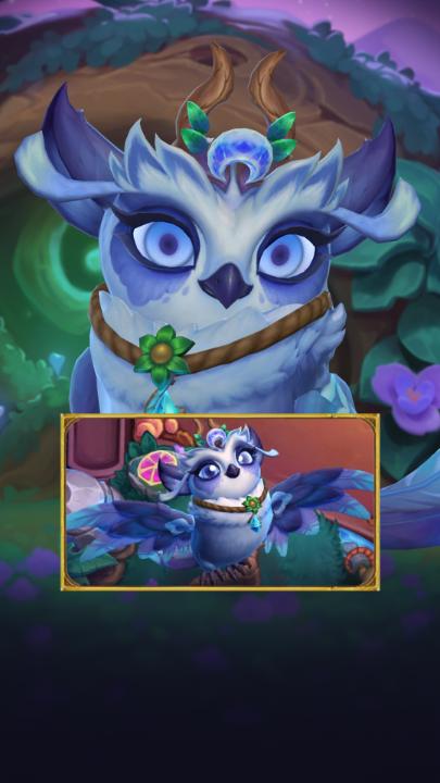 Do you know how to rock? Q'onzu sure does! 🤘🦉🤘