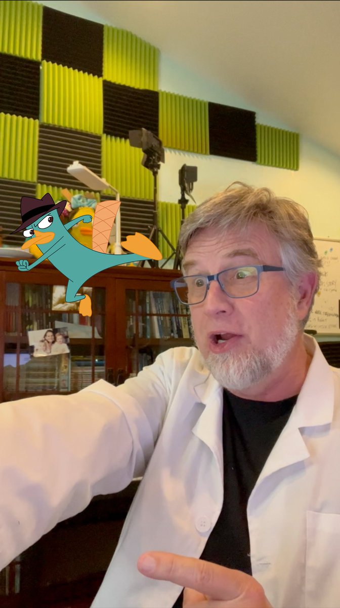 A Little Experiment 🧪 (feat. Dan Povenmire)