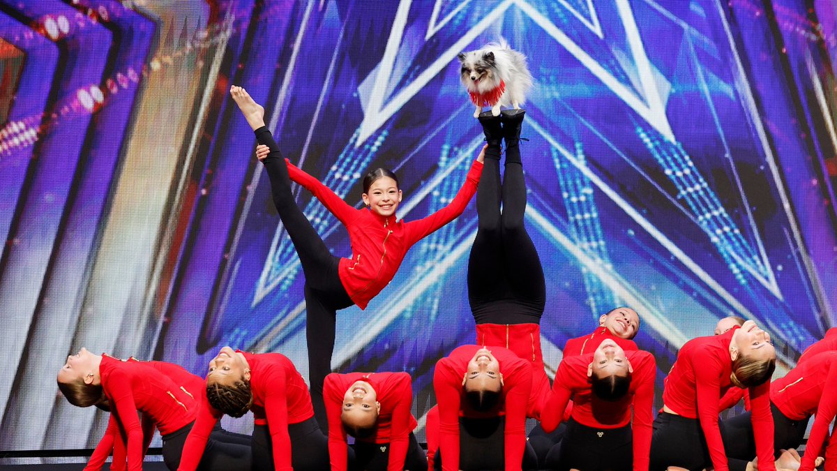 I can’t wait to see what Acro Canine Crew unleashes at the LIVE SHOWS!!! That’s MY GOLDEN BUZZER! 🔥🙌🏾 #AGT
