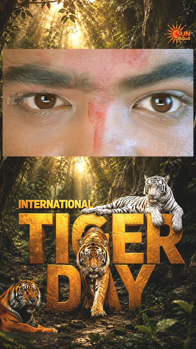 Ee #InternationalTigerDay sandharbam gaa mana #YoungTiger #NTR #Samba movie lo intense gaa chesina ee super scene chuseyyandi #SunGemini
