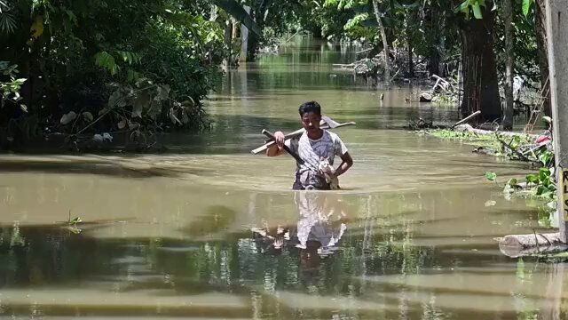 🇮🇳 Heavy rains trigger widespread flooding in India's northeastern state Residents in Assam's Sivasagar district brave floodwaters around submerged homes, as over 900,000 people in more than 1,800 villages have been affected by the incessant rains in the Indian state.