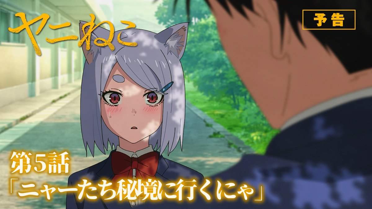 第5話 詳細公開！ ￣V￣￣￣￣￣￣￣ 🚬 第5話「ニャーたち秘境に行くにゃ」 ▼あらすじ、先行カット公開！ 📺TVアニメ『#ヤニねこ』第5話 TOKYO MX、BS11：7/30(木)24:30〜 AT-X：8/22(土)24:30〜 7/30より毎週木曜25:00～Netflixほか各配信サイトにて順次配信開始！