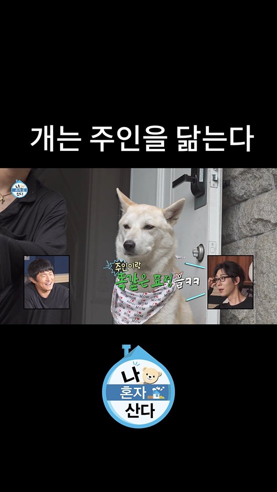삶에 미련 없는 눈빛의 #던 과 햇님 "개는 주인을 닮는다"🐕 <#나혼자산다> [금] 밤 11:10 방송🧸 MBC 260724 방송 ⓒ MBC&amp;iMBC 무단 전재, 재배포 및 이용(AI학습 포함)금지