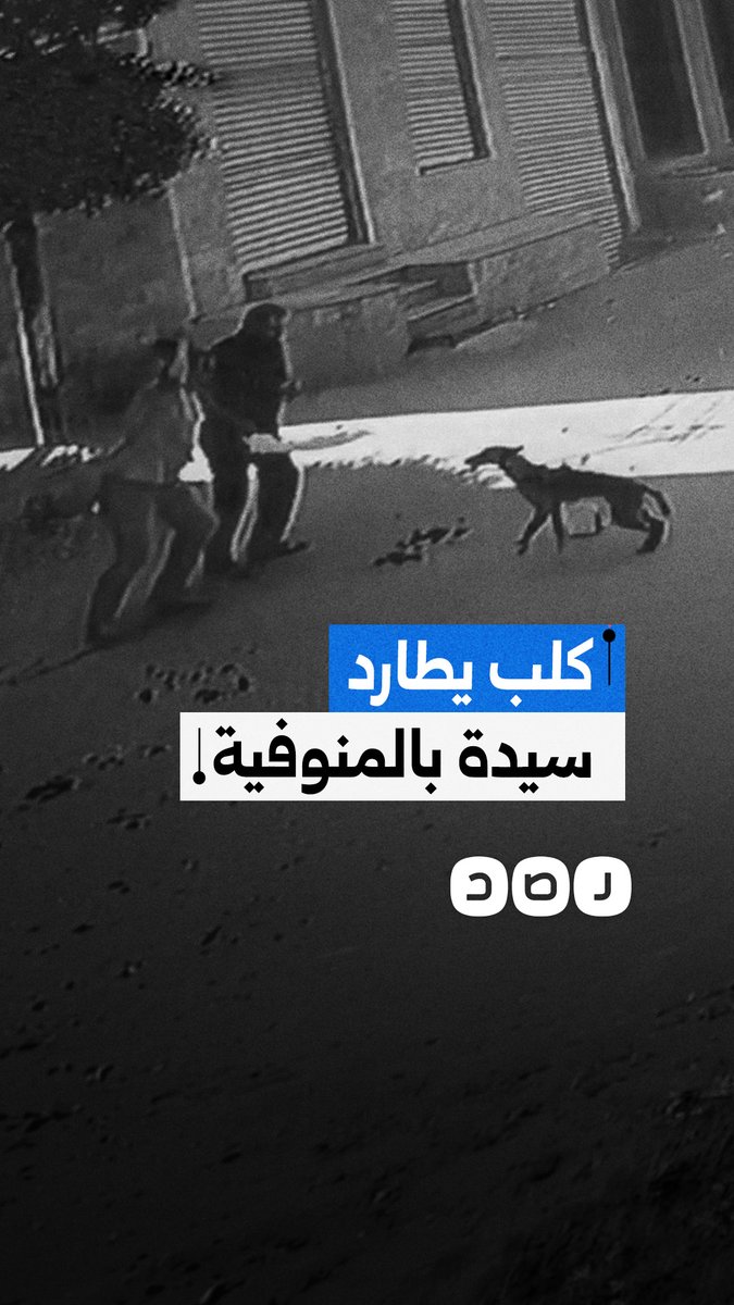 كاميرا المراقبة تكشف مطاردة كلب لسيدة قبل أن يتدخل عدد من الرجال لإنقاذها بالمنوفية