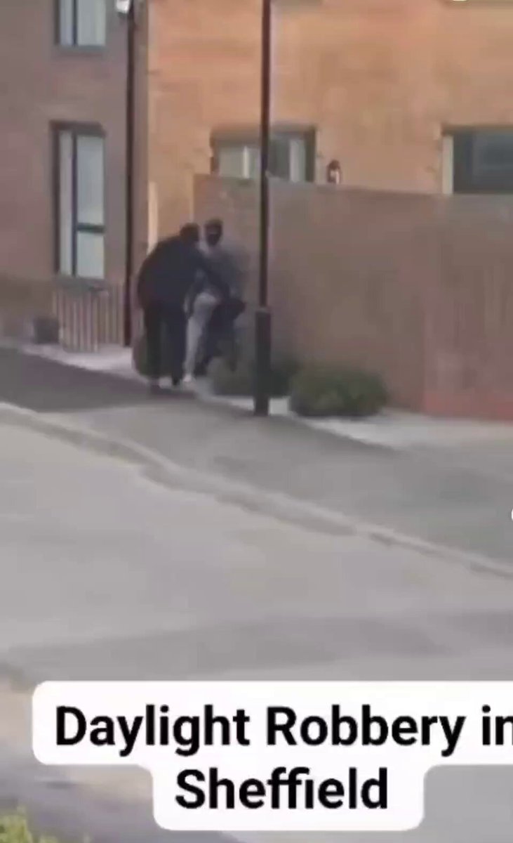 🚨We never had to live this way before. Daylight armed robbery. Middle of the morning, houses getting hit like it’s nothing. Kids on bikes climbing through windows in broad daylight while one holds what appears to be a sawed-off shotgun, while the rest of us just watch it unfold on video. This isn’t normal. And it shouldn’t be.