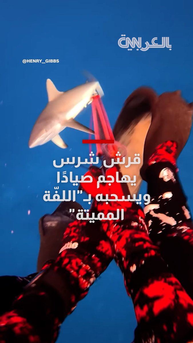 باغته وانقض عليه.. قرش شرس يهاجم صيادًا ويسحبه بـ"اللفّة المميتة" قبل أن ينقذه أصدقاؤه من الماء