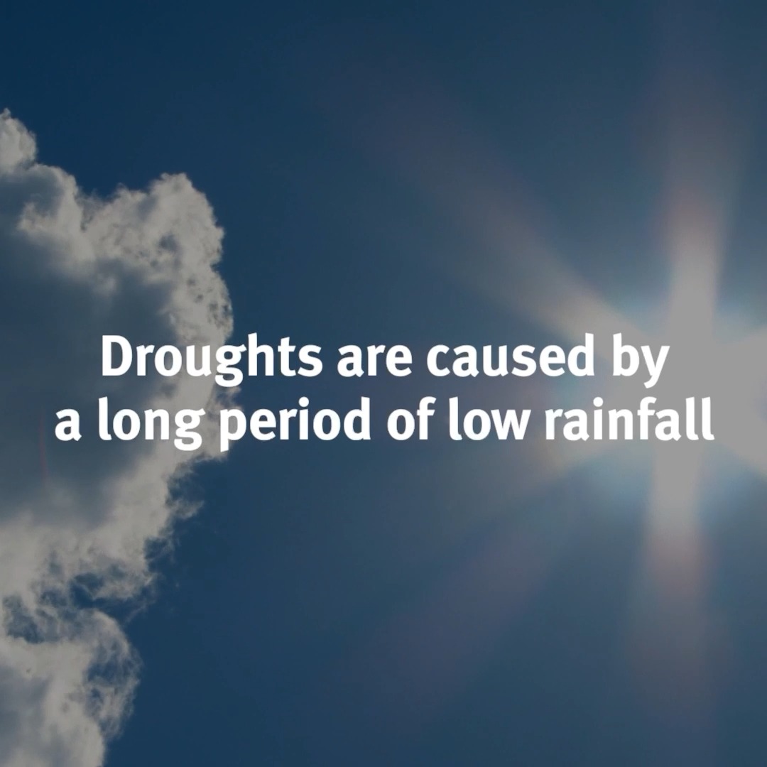 Seven areas of England have moved into drought due to prolonged dry weather and exceptionally high temperatures. This is the second consecutive summer of drought, with widespread impacts on agriculture, nature and public water supplies. Find out more: