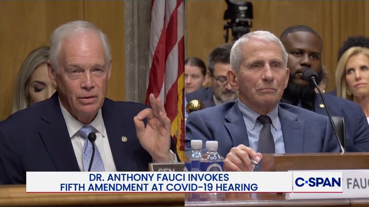 .Senator Ron Johnson: "Did you literally lie to your own diary?" Dr. Anthony Fauci invokes the Fifth Amendment.