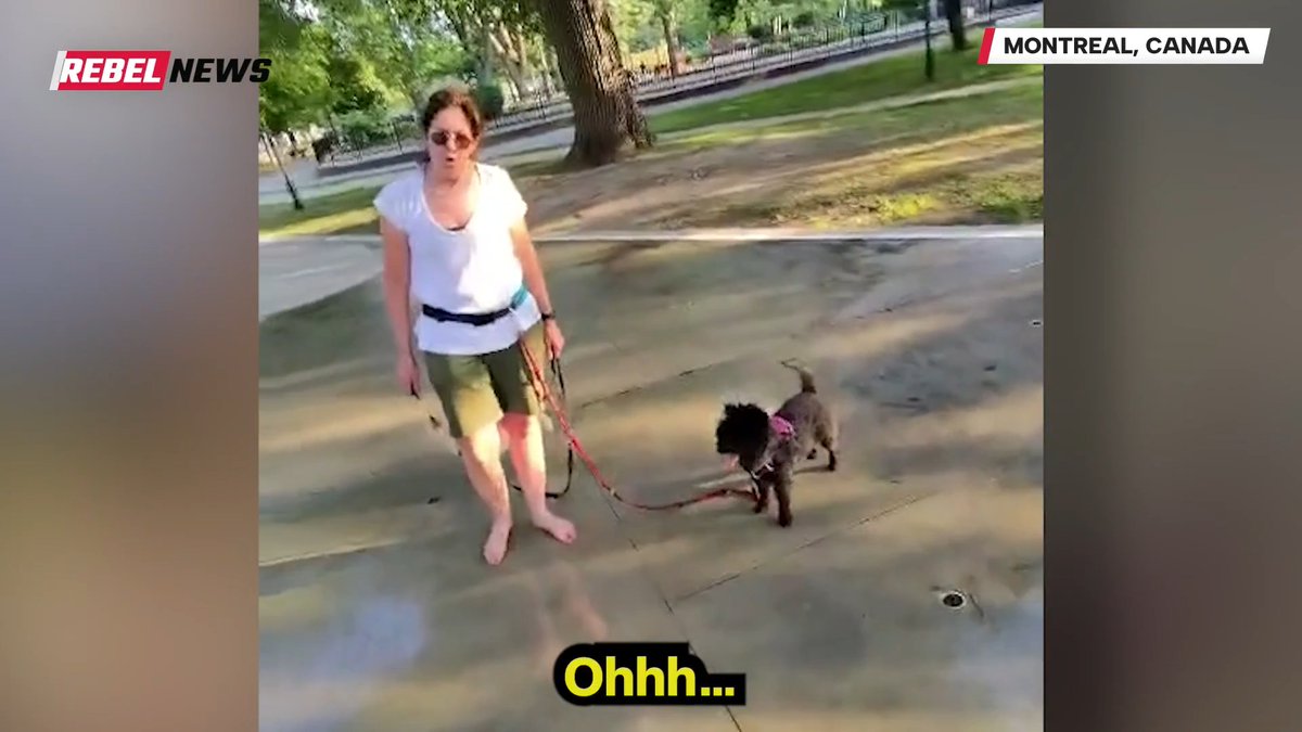"Jews aren't allowed here" In Montreal 🇨🇦, a Jewish man approached a woman and politely informed her that dogs were not allowed in the children's playground. With little hesitation, the woman replied with "Jews aren't allowed here". Afterwards, she approached the man again and continued hurling insults, calling the man's children "f***ed up". I feel sorry for her dogs.