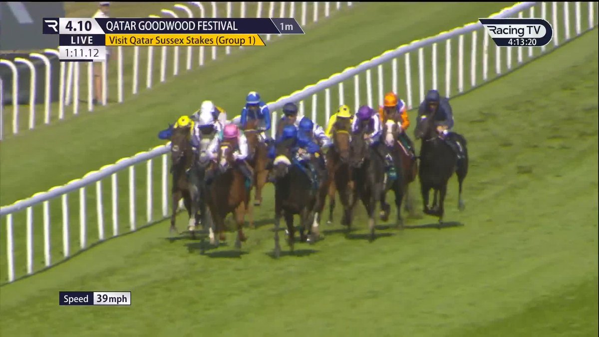 Bow Echo produces a brilliant performance to land the G1 Visit Qatar Sussex Stakes