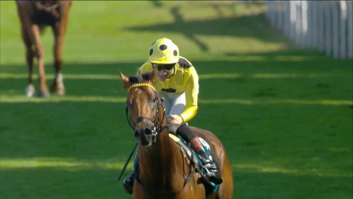 WHAT A FINISH, WHAT A HORSE! ⭐️ Bow Echo wins the Visit Qatar Sussex Stakes 🏆 Billy Loughnane | George Boughey Racing