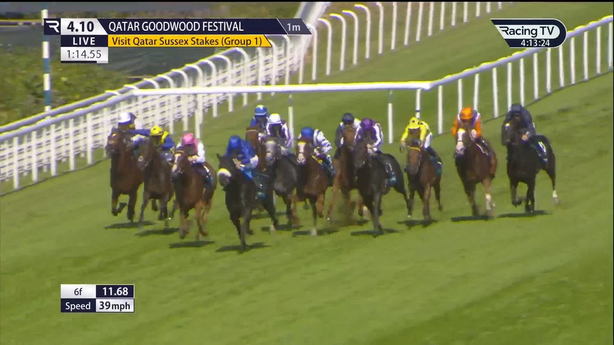 🟨 A CHAMPION ⬛️ 𝐁𝐨𝐰 𝐄𝐜𝐡𝐨 confirms himself as the best miler in training with an outstanding performance in the Visit Qatar Sussex Stakes. George Boughey Racing | Billy Loughnane | Visit Qatar