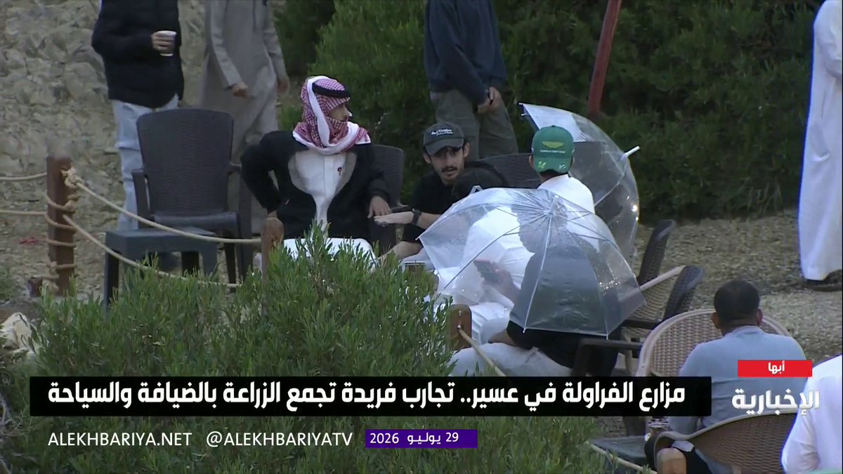 السياحة الزراعية تزدهر في عسير عبر مزارع الفراولة المرتفعة.. مالك مزرعة في أبها يحيى الألمعي: زرعنا أكثر من 500 ألف شتلة فراولة منتجة، وساعدت أجواء أبها المعتدلة، بمتوسط 16 درجة مئوية، على نجاح زراعتها