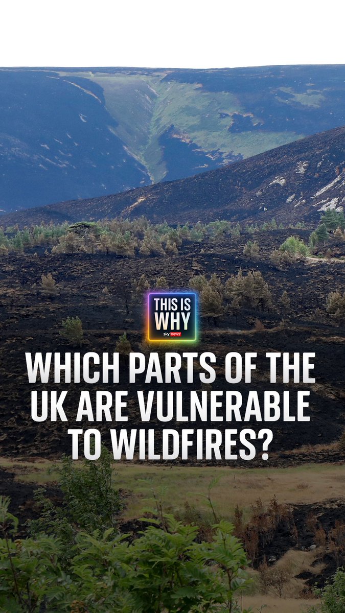 Which parts of the UK are most vulnerable to wildfires? With wildfires being reported across Britain this summer, and evacuations taking place in parts of France and Spain due to blazes, Mhari Aurora speaks to wildfire safety expert Michael Bruce. 🎧
