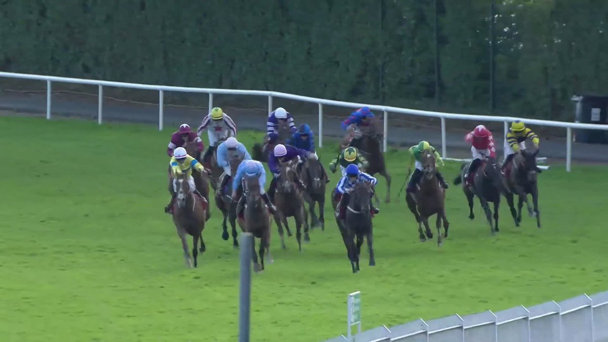 👑 A CROWNING MOMENT 👑 King Alexander, ridden by Dan King, wins the Galway Plate for team Willie Mullins! Tote Ireland | Galway Races