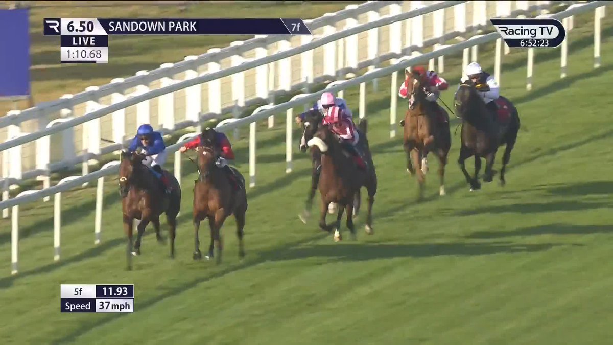 2⃣ out of 2⃣ 🔵🔵 Quest For Stars, a 700,000euros son of Sea The Stars, defies a penalty Sandown Park. Godolphin