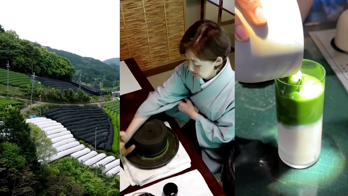 From Japan's tea fields and a centuries-old tea ceremony school to trendy cafes in New York, reporter Kyoko Gasha takes us on a journey through the matcha renaissance