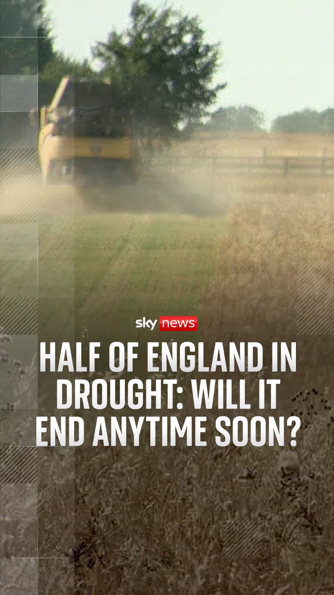 A drought has been declared in half of England after record-low rainfall and high temperatures. But will it end anytime soon? Sky's Tom Clarke explains. 🔗