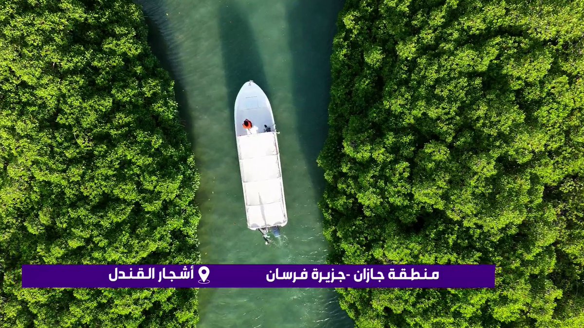 وسط المياه الفيروزية وغابات القندل.. جزيرة فرسان في جازان سحر يخطف الأنظار