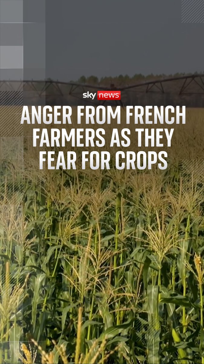 Southwestern France continues to bear the brunt of wildfires, as the local government orders farmers not to return to the fields to help firefighters tackle the blazes. Sky's Sadiya speaks to farmers who voiced their fears after they were called to assist fire crews. 🔗
