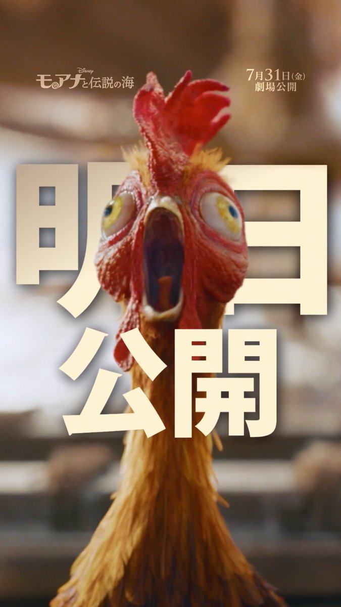 ⠀⠀◥◣◢◤◥◣◢◤◥◣◢◤ ⠀ 実写版『#モアナと伝説の海』 ⠀ 明日7/31（金）劇場公開 ⠀⠀◢◤◥◣◢◤◥◣◢◤◥◣ ⠀ 🌺海に選ばれた少女 #モアナ🌺 🪝海と風をつかさどる半神半人 #マウイ🪝 ⠀ そして 🐔食いしん坊なニワトリ #ヘイヘイ も大活躍⁉ ⠀ いよいよ明日（7/31）#モア夏 開幕