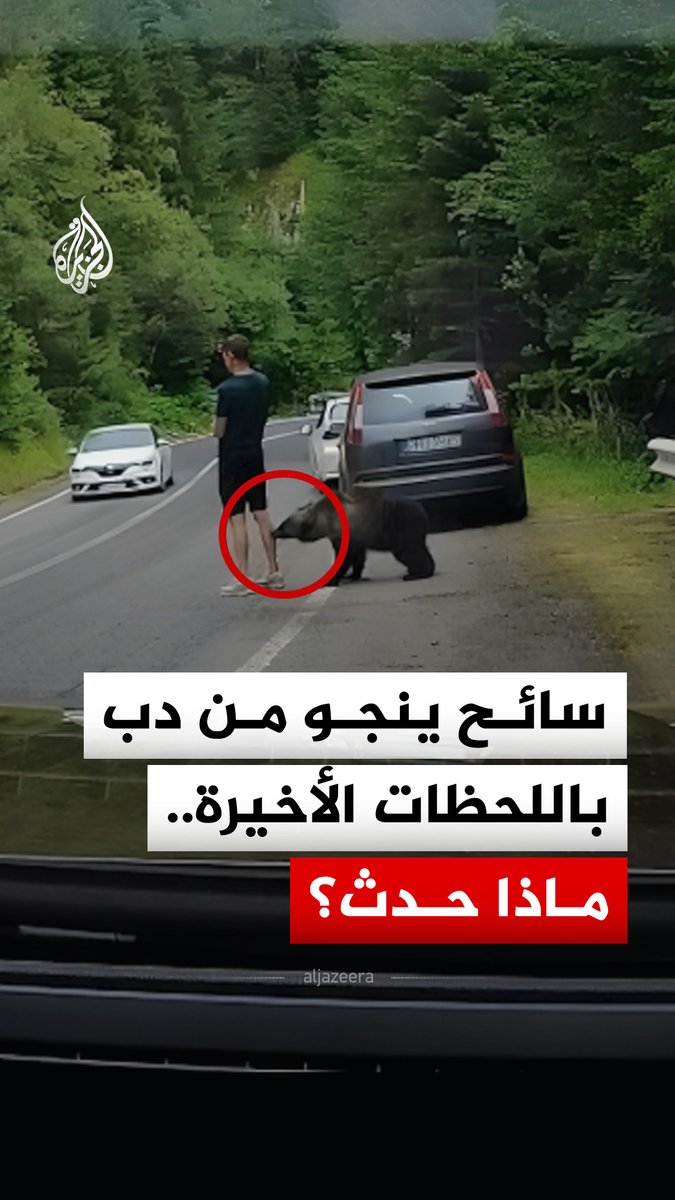 سائح ينجو في اللحظات الأخيرة من هجوم دب مفترس على طريق في رومانيا #فيديو