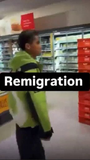 Elon Musk Remigration...