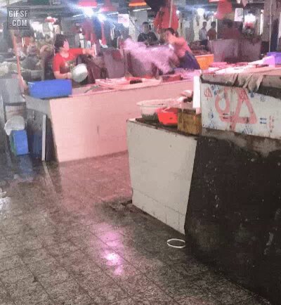 수산시장에서 싸우는 방법