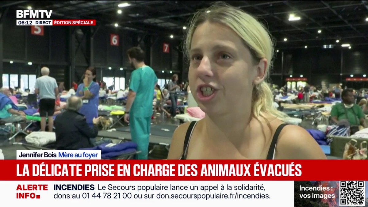 Incendie en Gironde: la délicate prise en charge des animaux évacués