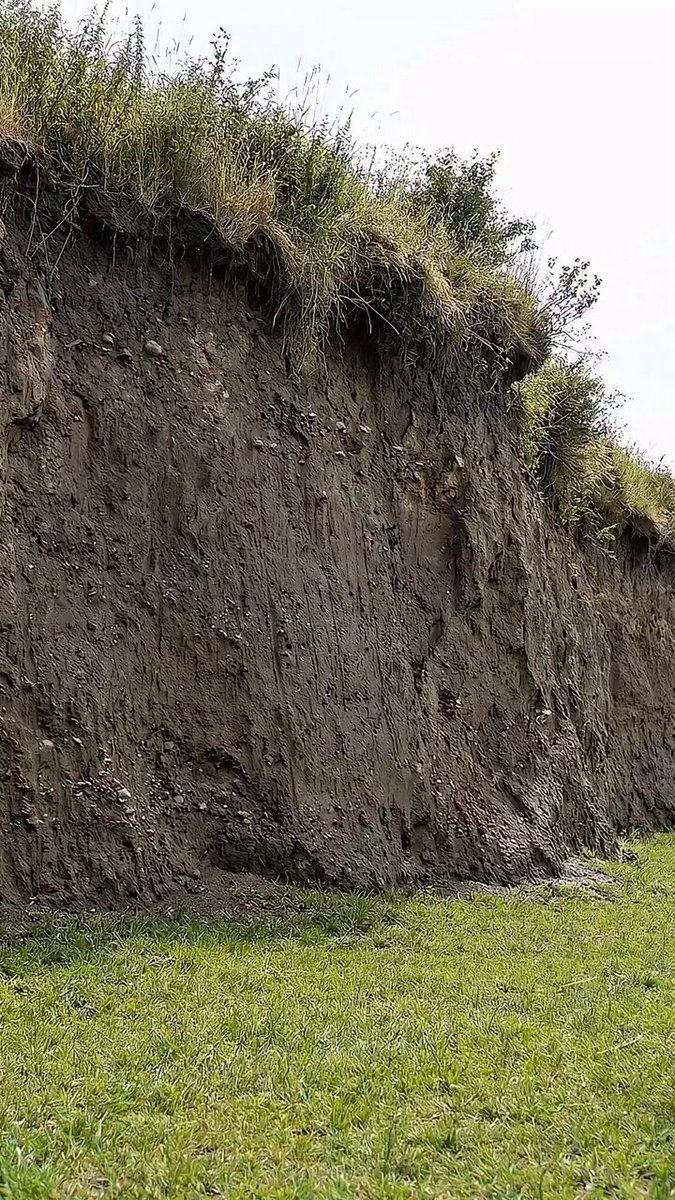 Şiddetli bir yağmurda inşa ettiğin bu sığınak başına yıkılacak malesef.