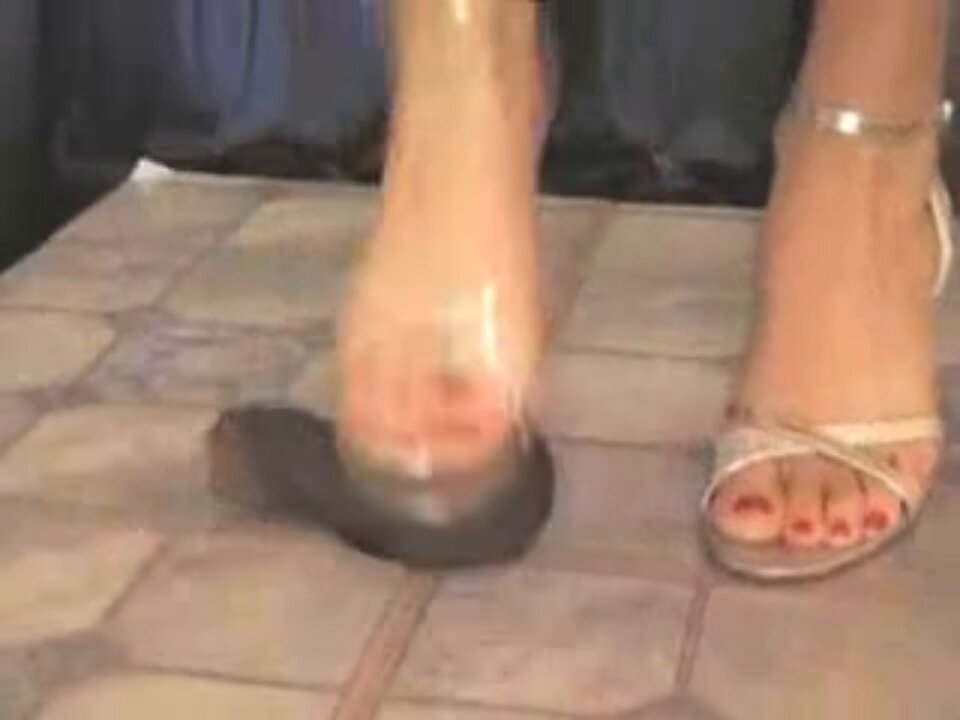 鸡巴变成了女王的舞蹈跳板 在公狗的黑色睾丸上肆意弹跳 完全无法预判下一秒会踩到哪里🥵 #女王 #隔板踩踏 #踩蛋蛋 #踩鸡巴 #虐蛋 #crushballs #submale #dom #cocktorture