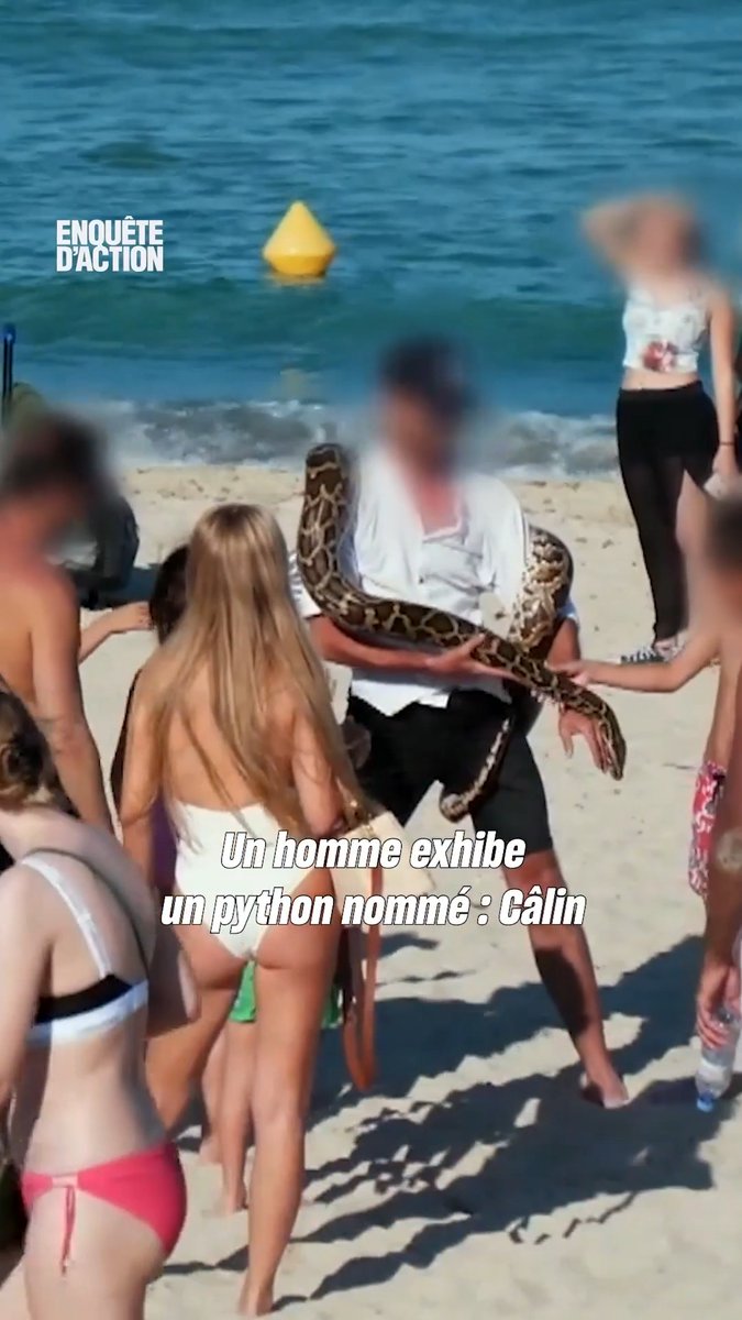 "Il me donne 200€" Cet homme, accompagné de son long python, laisse les touristes prendre des photos avec celui-ci en contrepartie d'une somme d'argent 💵 #EnquêtedAction "Alerte sur les plages : les CRS en première ligne !", vendredi à 21:10 sur W9 et M6+