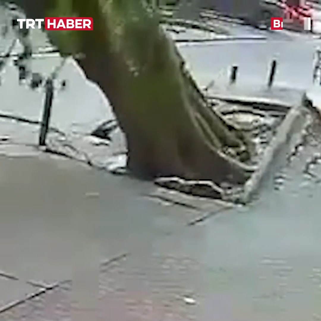 Brezilya'da fırtına bir ağacı kökünden söküp yoldan geçen kişinin üzerine devirdi.