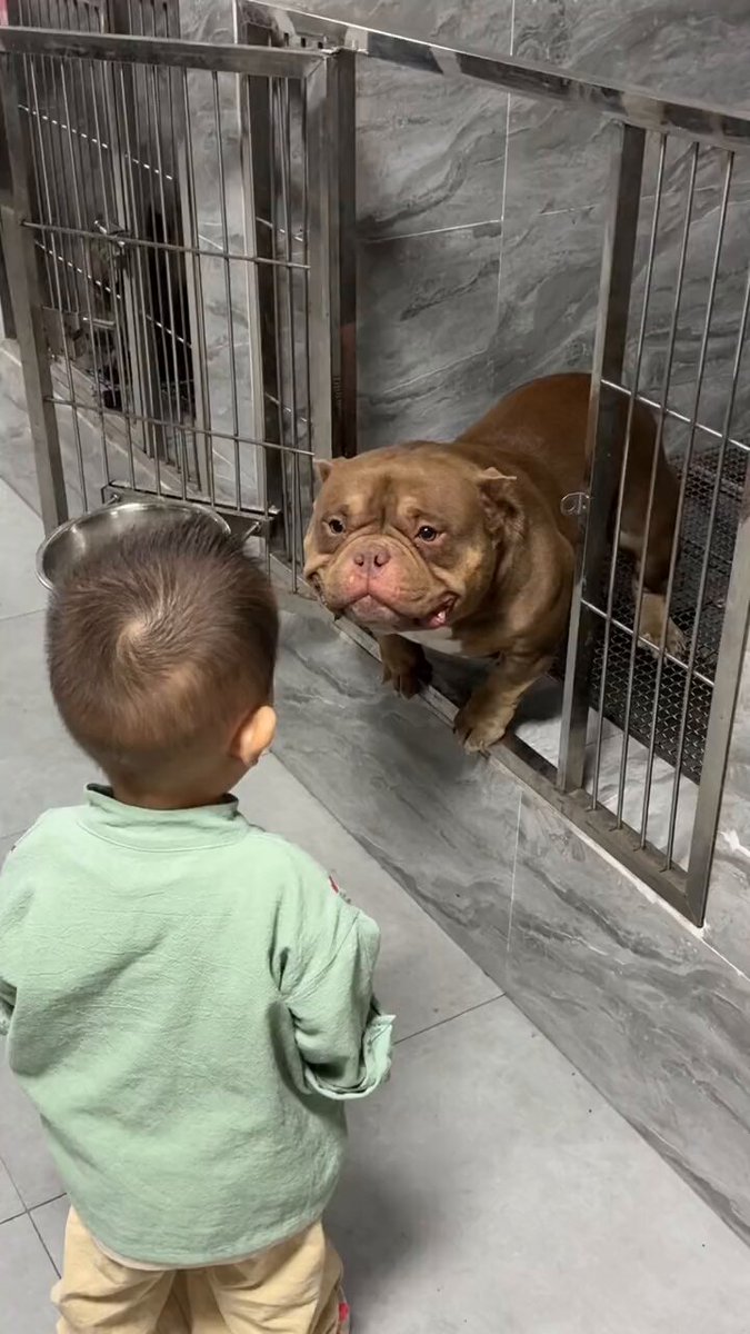 Love at first sight..🐕🐾👦😍