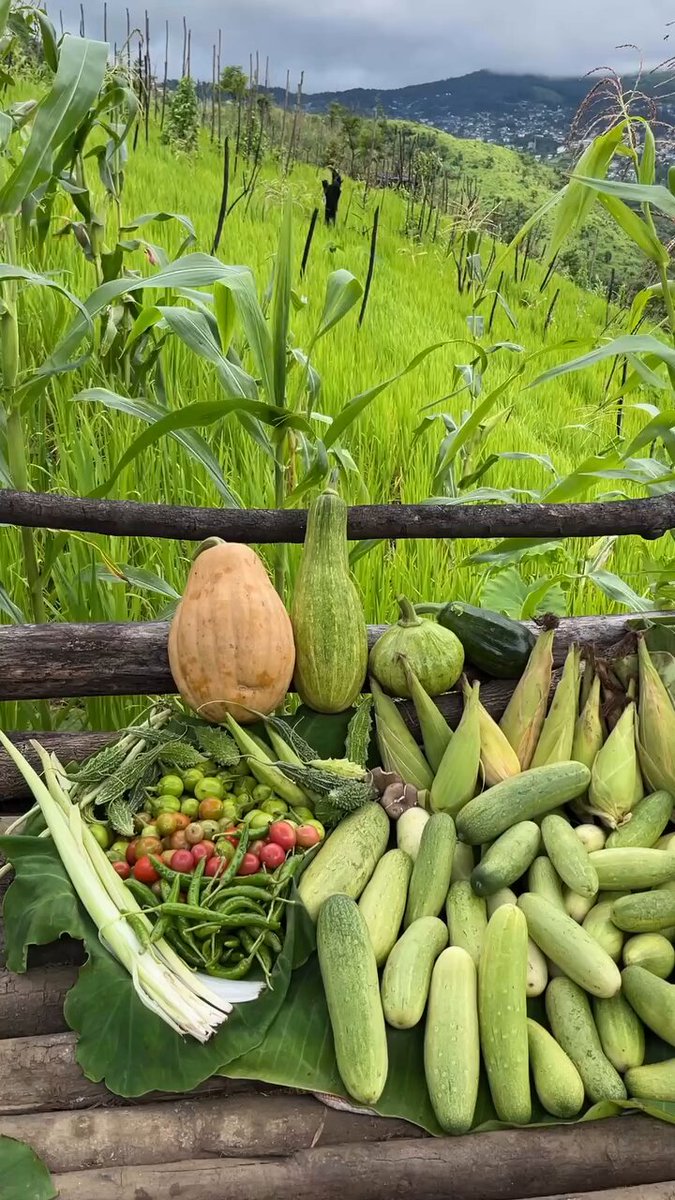 Definition of rich. 🍃🥬🥒💚 Only in Northeast India.